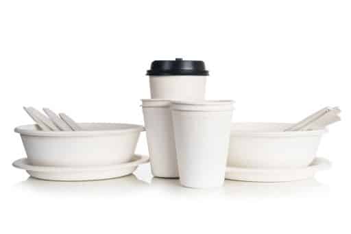 Vesela de Unica Folosinta Biodegradabila - Farfurii, caserole, boluri