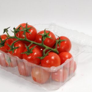 Pungi Biodegradabile - CASEROLE FRUCTE 500 GR CAPAC ATASAT L-013 LIMERA 188.5 x 239.7 x 91 600 BUC PE SET/ BAX