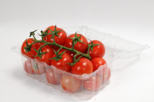 Pungi in Rola Biodegradabile si Compostabile EN13432 & Caserole Legume Fructe - CASEROLE FRUCTE 500 GR CAPAC ATASAT L-013 LIMERA 188.5 x 239.7 x 91 600 BUC PE SET/ BAX